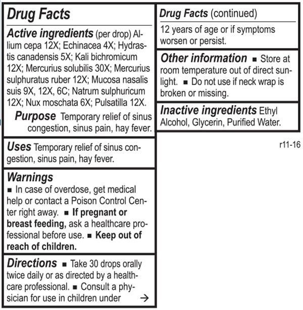 Sinus Tone