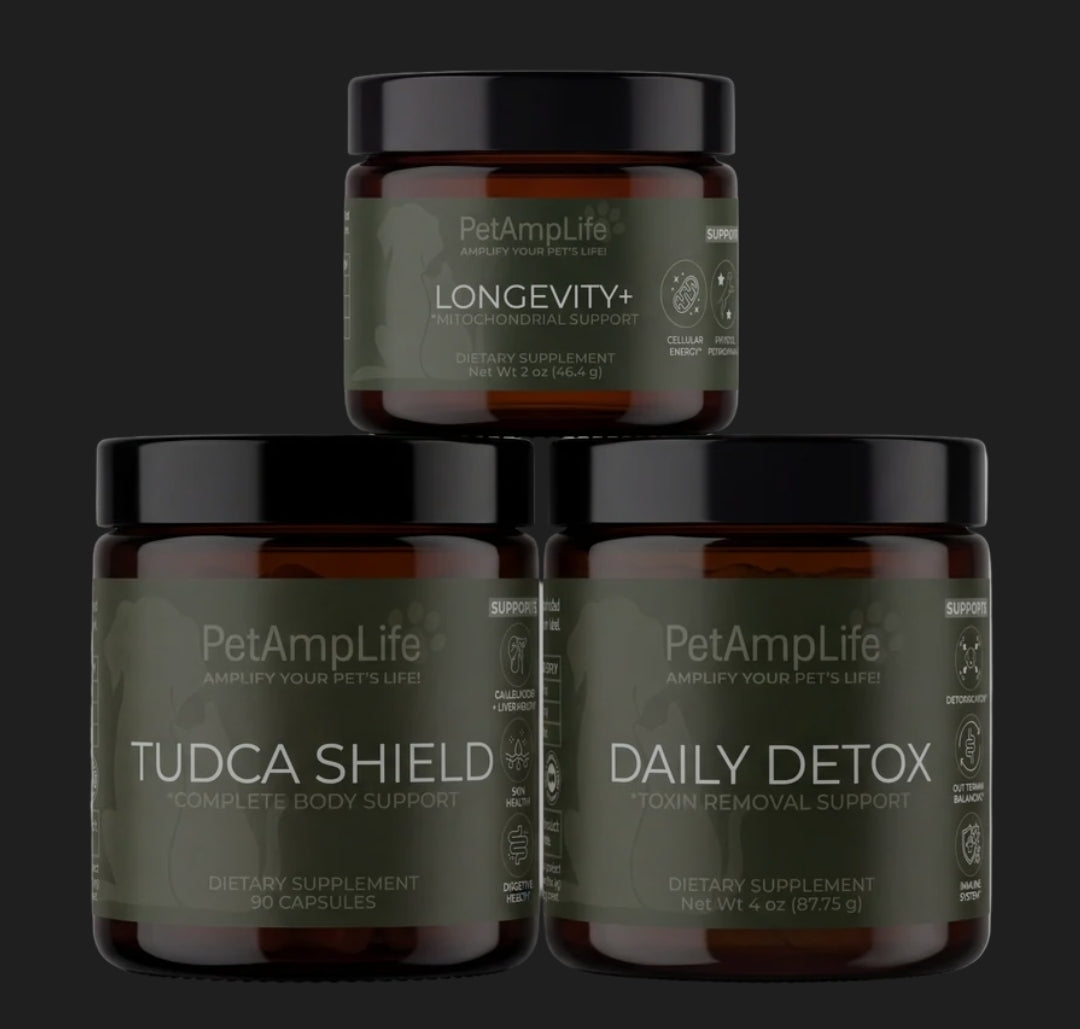Pet Daily Support & Vitality Kit