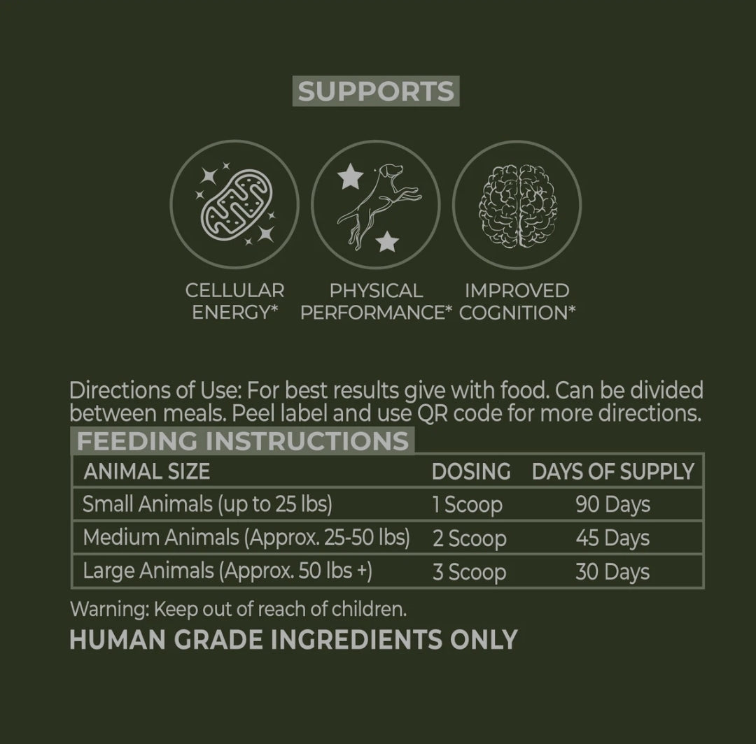 Pet Daily Support & Vitality Kit