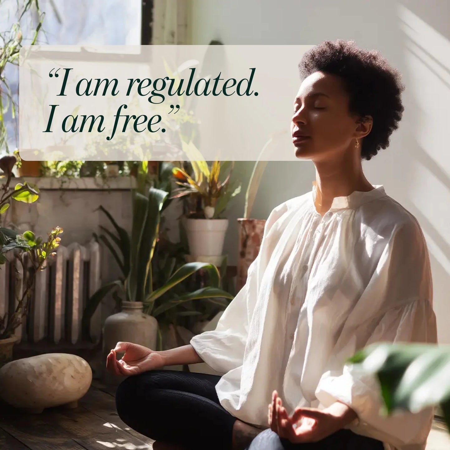 NERVOUS SYSTEM BLEND Regulate